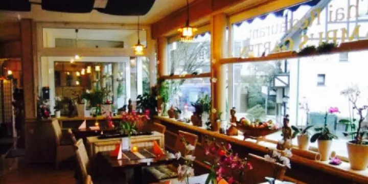 Bambus Garten Gummersbach