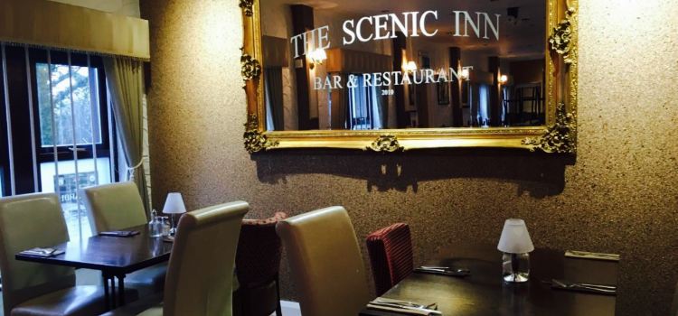 The Scenic Inn
