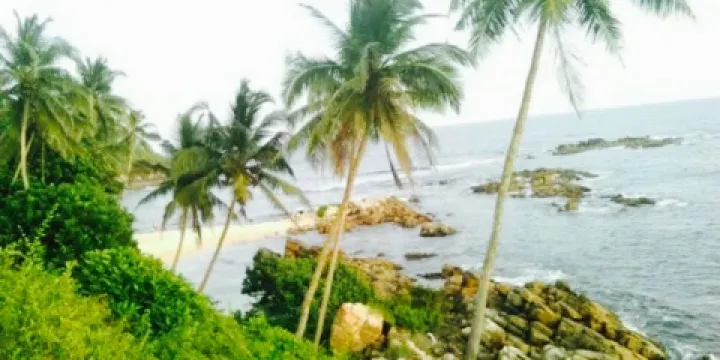 Perfect View Guest Restaurant