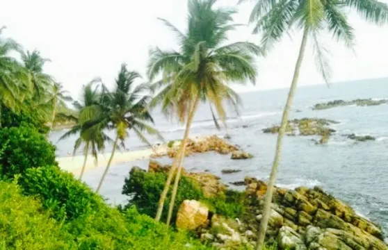 Perfect View Guest Restaurant