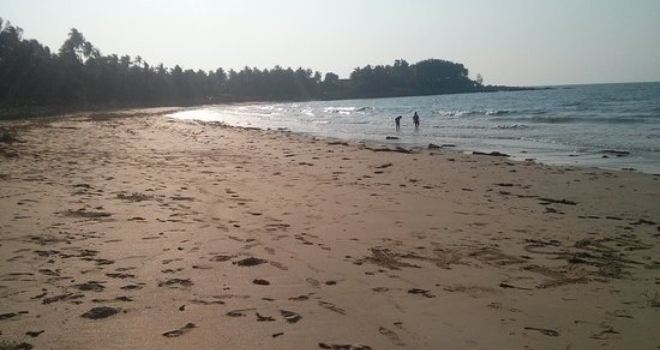 Ocean's Paradise