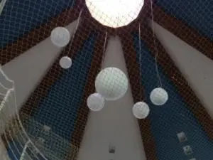 Molo65