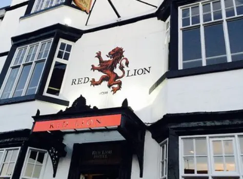 The Official Red Lion Leek