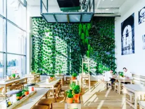 Vapiano Disney Village