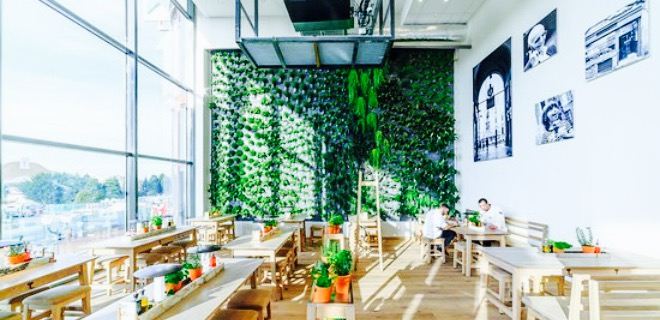 Vapiano Disney Village