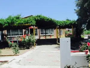 Taverna 25