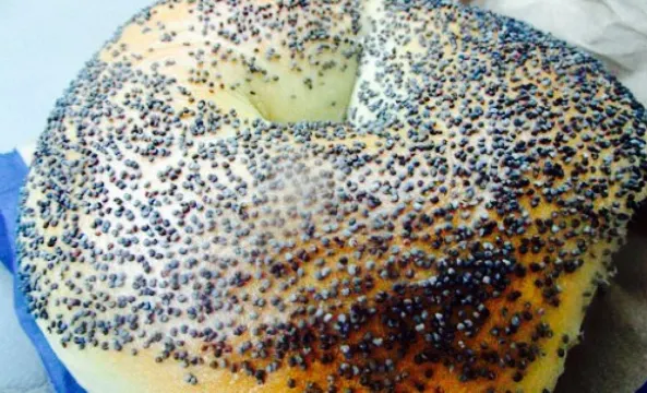 Noah's Bagels