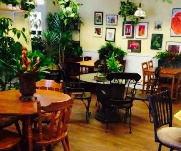 Plant Paradise Cafe