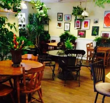 Plant Paradise Cafe