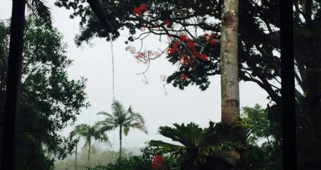 Kuranda Rainforest View Restaurant