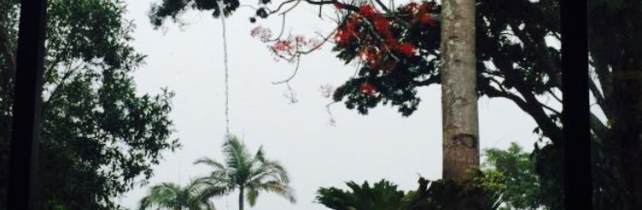 Kuranda Rainforest View Restaurant