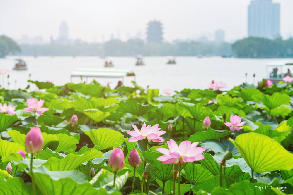 杭州西湖必訪避暑景點