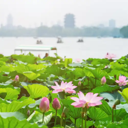 Top 10 Activities in Hangzhou
