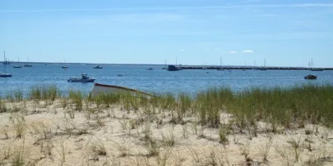 The Mews Restaurant & Cafe