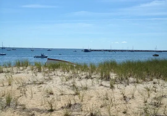 The Mews Restaurant & Cafe