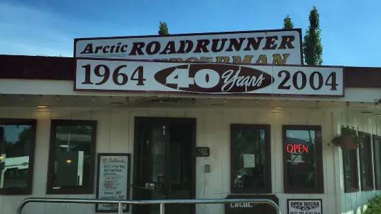 Arctic Roadrunner