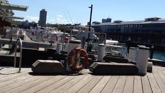 Bar Cycle Walsh Bay