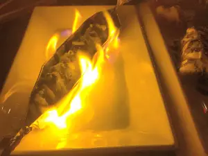 Tani Sushi Bistro