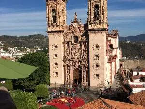 Flor de La Vida