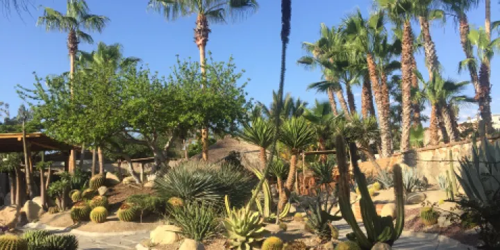 Los Adobes de Todos Santos