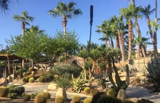 Los Adobes de Todos Santos