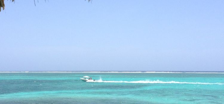 Palapa Bar and Grill