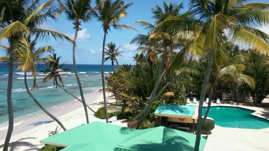 The Restaurant at the Palms at Pelican Cove