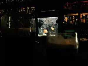 The Irish Harp
