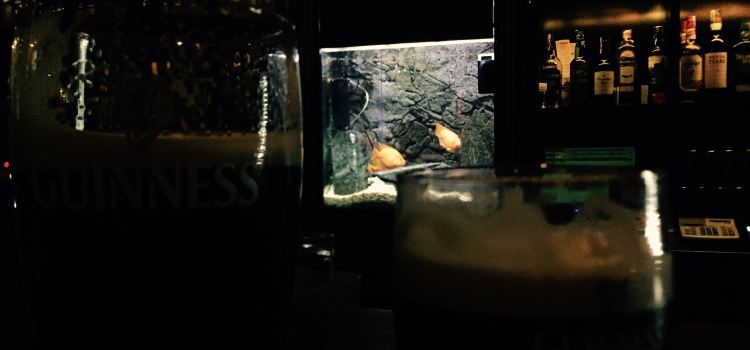 The Irish Harp