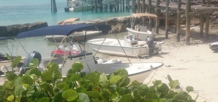 Staniel Cay Yacht Club Restaurant