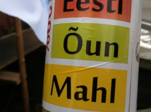 Papa Joe Falafel & Hummus