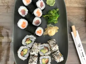 SUSHI v DUSHI