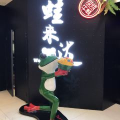 蛙来哒 User Photo