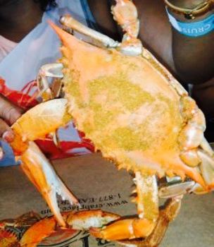 The Crab Place
