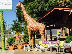 Big Giraffe Cafe