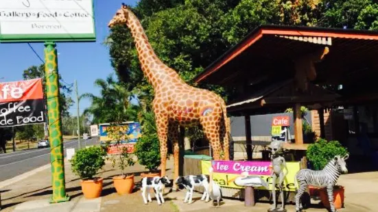 The Big Giraffe
