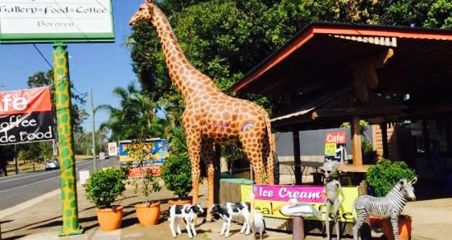 Big Giraffe Cafe