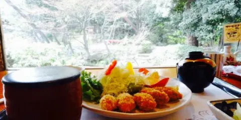 Ganko Kishiwada Gofuso