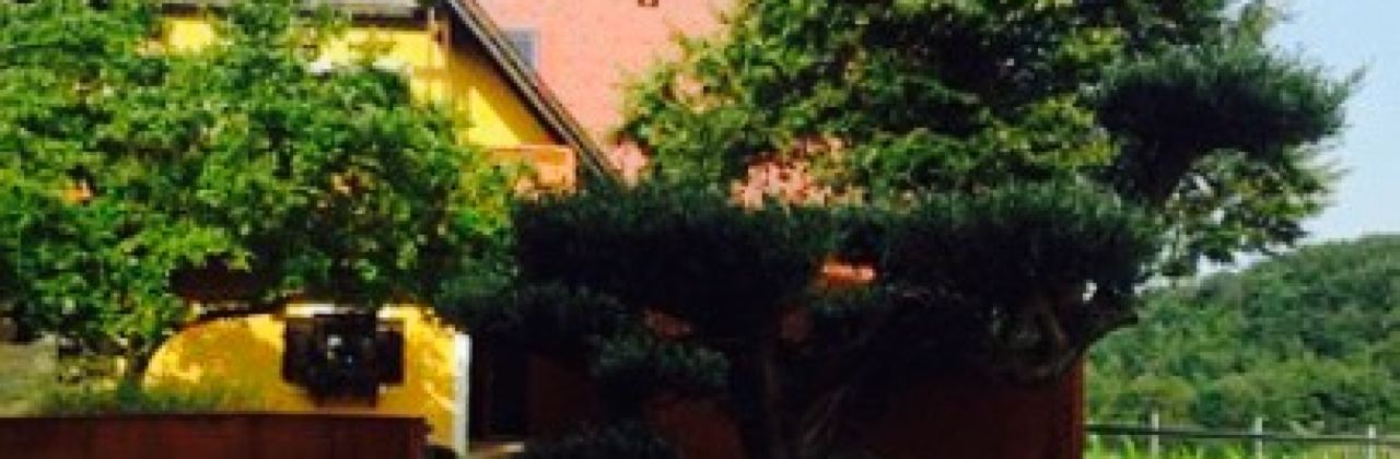 Weingasthof Sabathihof