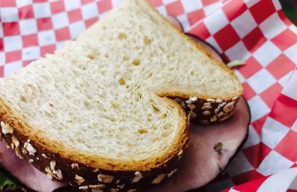 Mug Shots Coffee House and Internet Cafe