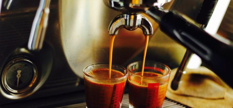 Just Coffee Specialty