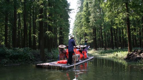 Lizhong Water Forest Park