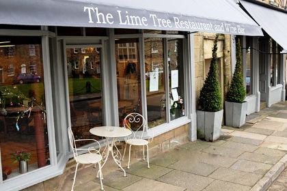 The Lime Tree