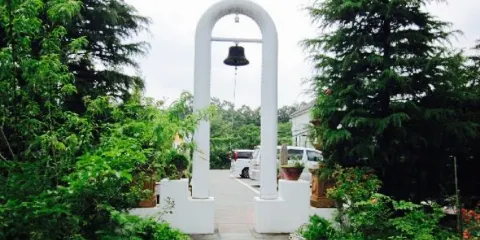 Artisanal Bakery Dream