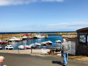 St Abbs Old School Cafe