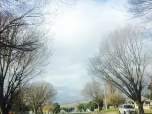 Bombala Bakery