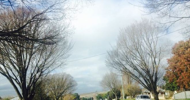 Bombala Bakery