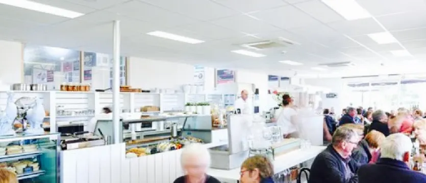 The Provender And Co