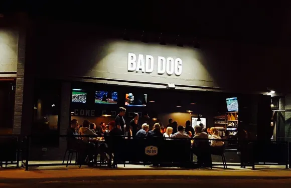 Bad Dog Bar & Grill