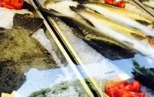 L'Antica Fontana da Noi Due